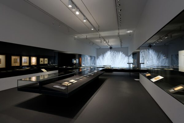 ALLESTIMENTO MOSTRA DALLAS Cartier & Islamic Art DMA Exhibition 29